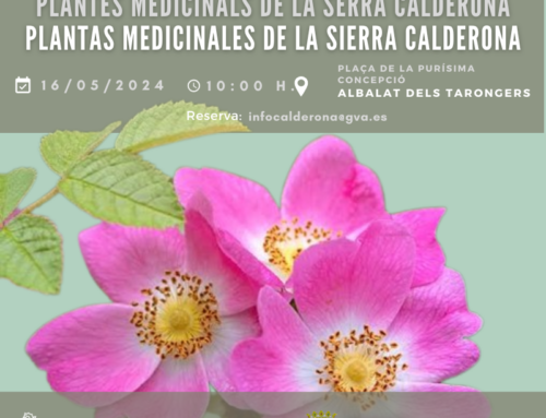 Taller plantes medicinals de la Serra Calderona